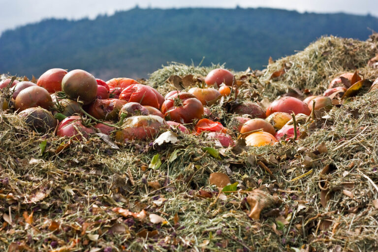 Kompostování jablek