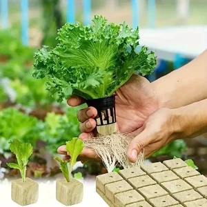 Sadbovací kostka pro předpěstování rostlin 25 ks - Bezpůdní kultivace