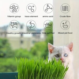 Výhody kočičí trávy